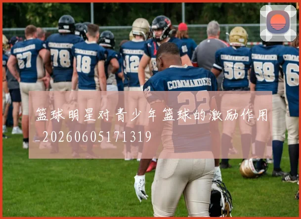 篮球明星对青少年篮球的激励作用_20260605171319